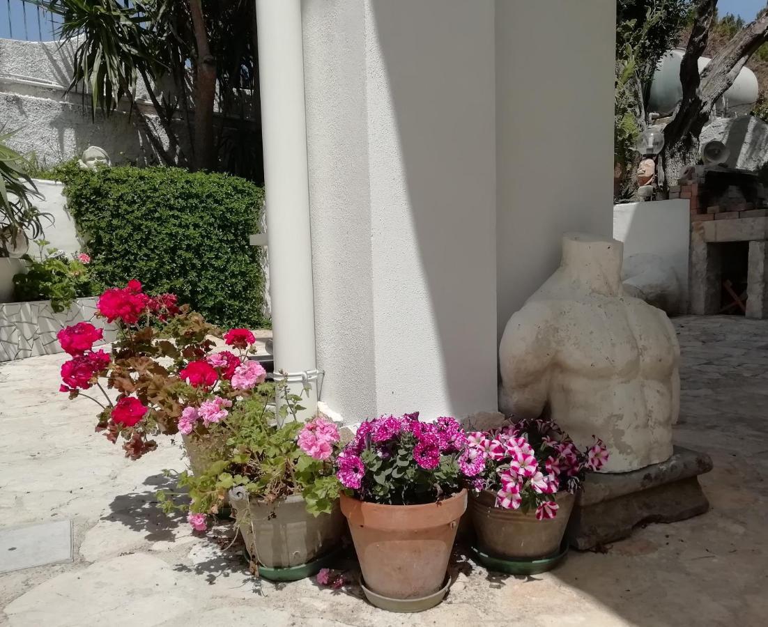 فيستَ B&B L'Altare Bianco المظهر الخارجي الصورة