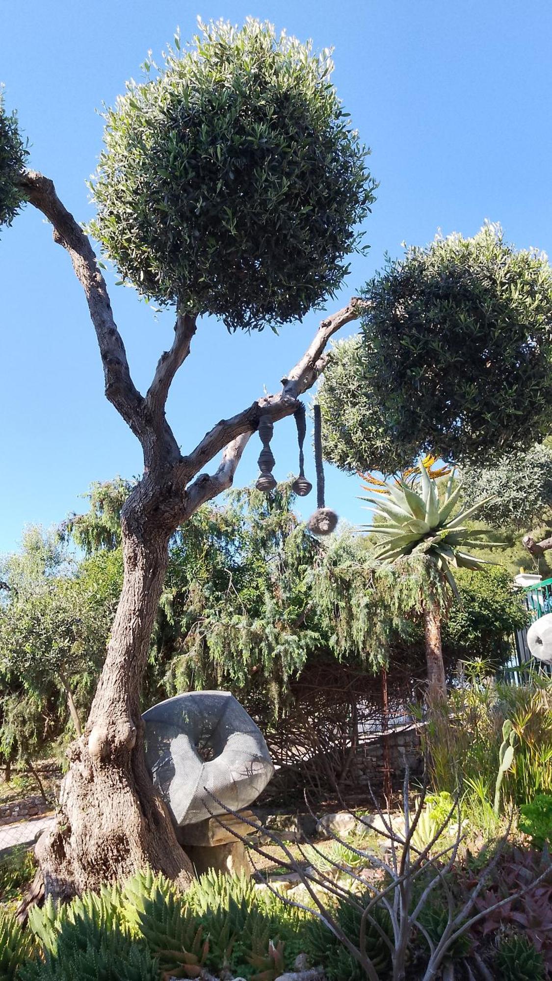 فيستَ B&B L'Altare Bianco المظهر الخارجي الصورة